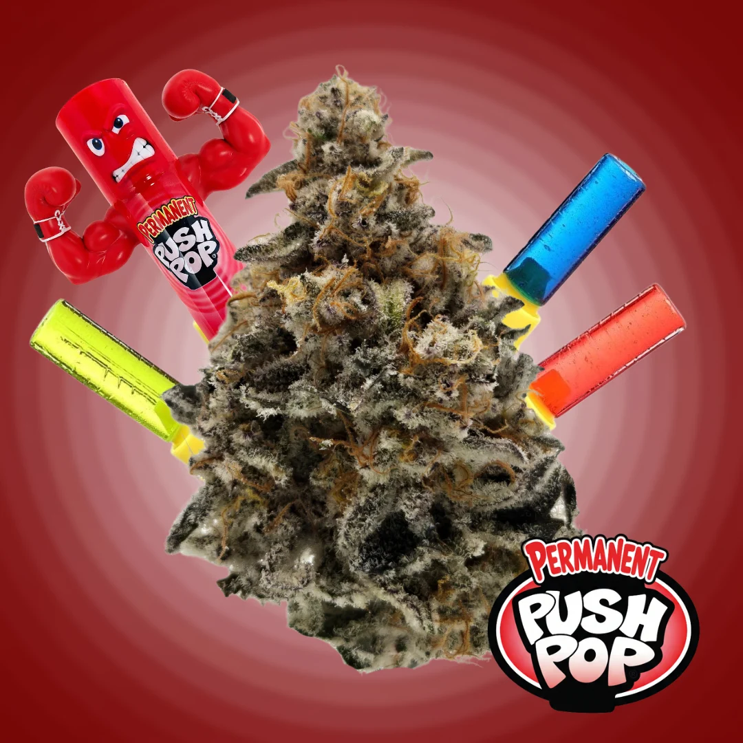 Permanent Push Pop Legacy Cannabis Permanent Push Pop Legacy Cannabis