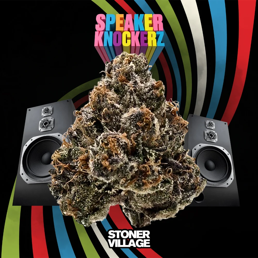 Speaker Knockerz Stoner Village