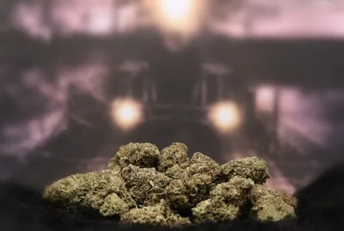 Dark Ghost Train 3.5g Flower Emerald Grove