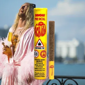 Sofa King 1g Pre-roll  Vacation