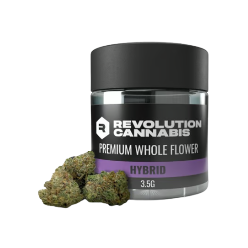 Everglazed Revolution