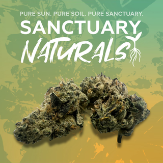 Animal Tsunami Sanctuary Cannabis