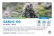 Garlic OG PTS Farms Garlic OG PTS Farms