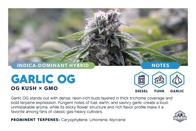 Garlic OG PTS Farms Garlic OG PTS Farms