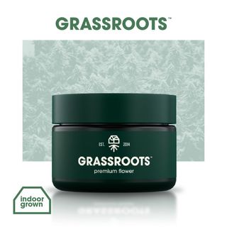 Orange Z Grassroots