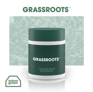 Blue Lobster Smalls  Grassroots