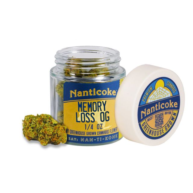 Memory Loss Nanticoke