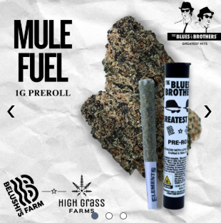 Mule Fuel The Blues Brothers