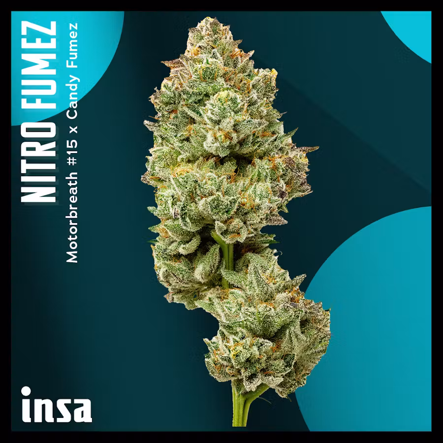 Cannabis Promo, Cannabis Sales, Cannabis Offers, Cannabis on Sale, INSA: Two 28g Flower For $190 3