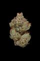 Private Reserve Clade 9 Private Reserve Clade 9