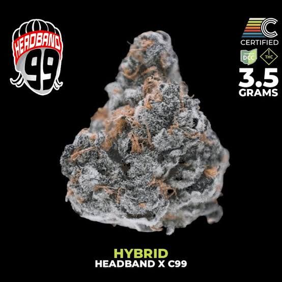 Headband 99 Certified