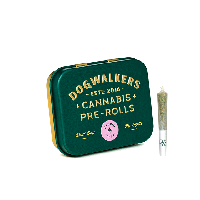 Outta My Head 5PK (1.75g)  Dogwalkers