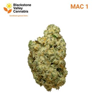 MAC1 Blackstone Valley