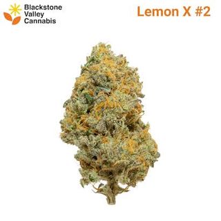 Lemon X Blackstone Valley