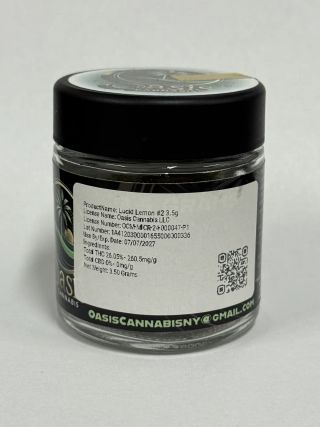 Lucid Lemon #2 Oasis