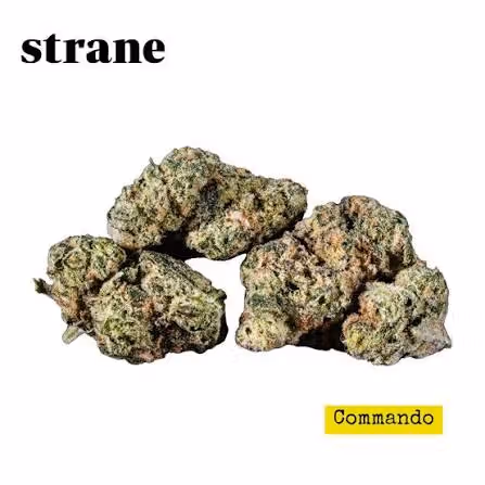 Commando  Strane