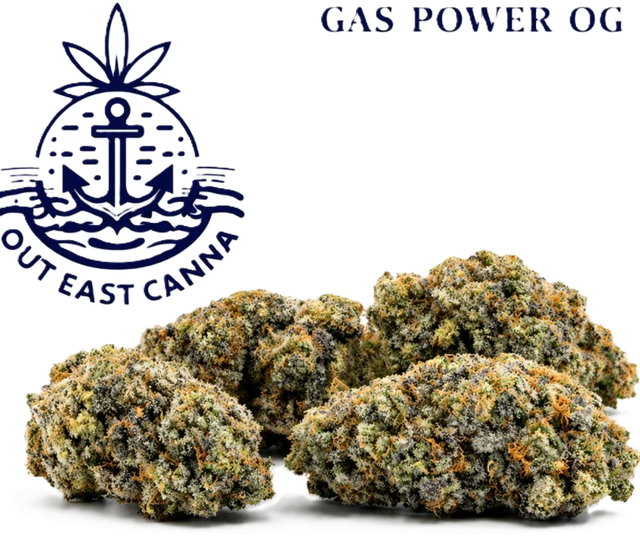 Gas Power OG Out East Canna Gas Power OG Out East Canna