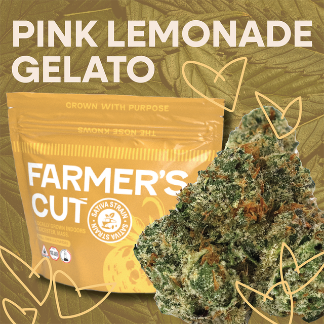 Pink Lemonade Gelato 3.5g Farmer's Cut 