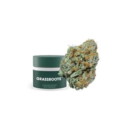 Modified Fuelato  Grassroots
