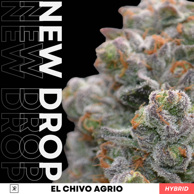 El Chivo Agrio Kaviar