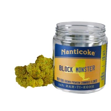 Block Monster Nanticoke