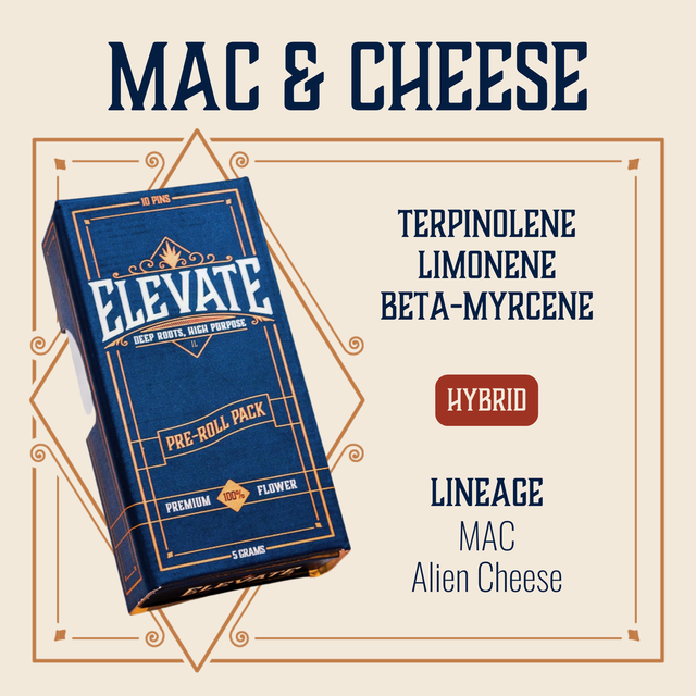 Mac and Cheese Elevate