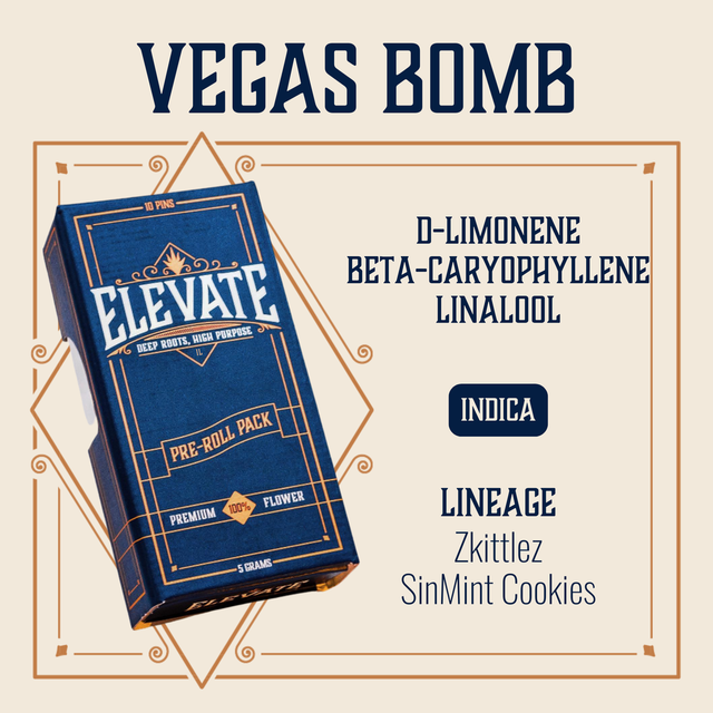 Vegas Bomb Elevate Vegas Bomb Elevate