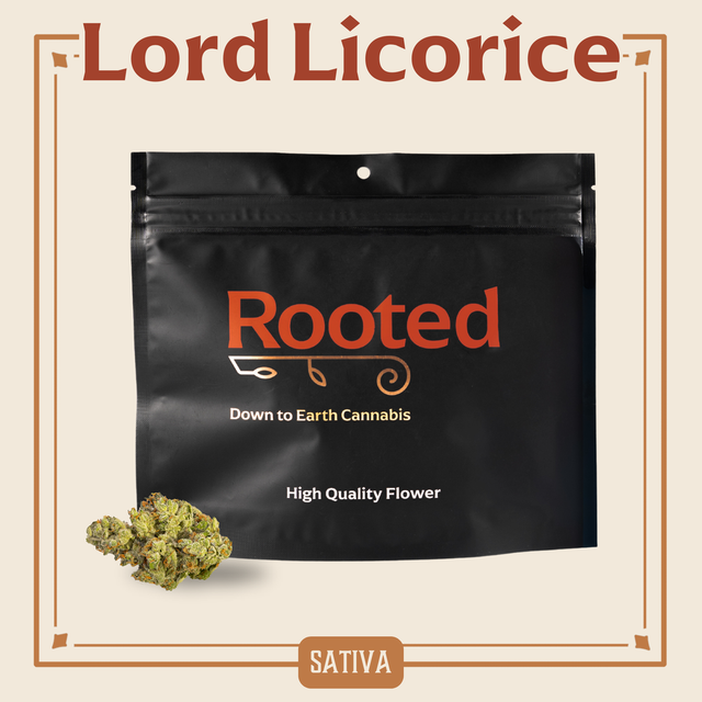 Lord Licorice Rooted