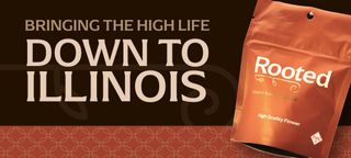 Cannabis Promo, Cannabis Sales, Cannabis Discounts, Cannabis on Sale, $70 Rooted 14g Flower 2