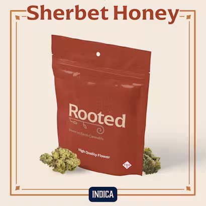 Sherbet Honey Rooted Sherbet Honey Rooted