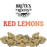 Large Buds- Red Lemons BRUTE'S ROOTS Large Buds- Red Lemons BRUTE'S ROOTS