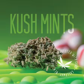Kush Mints Grasshopper Farms