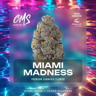 Miami Madness CMS Gardens