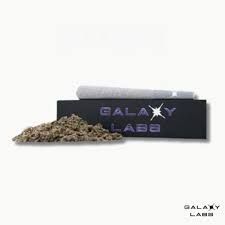 Flight of the Concords   Galaxy Labs