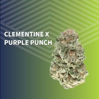 Purple Punch x Clementine URBNJ