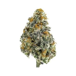 Starfigther x Sherbert URBNJ