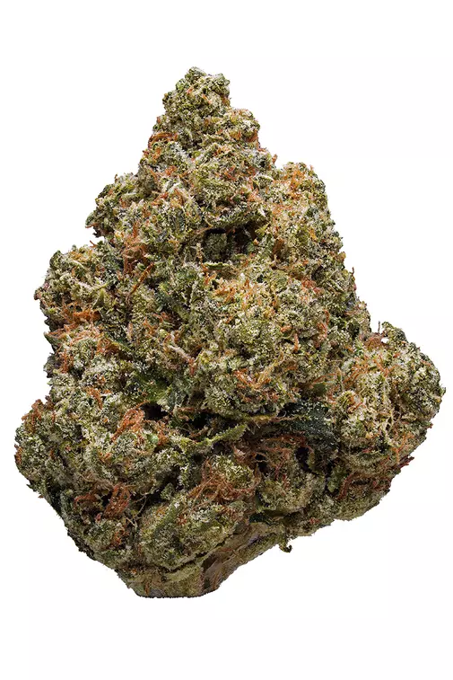Lowryder x Headband  URBNJ