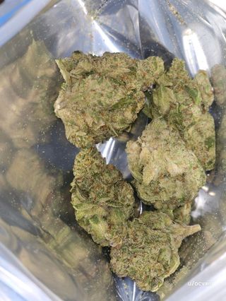 Cookies x Mandarin Sunset Flower URBNJ