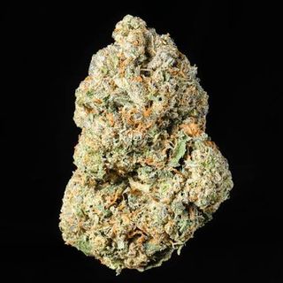 Watermelon Mimosa x Jealousy 3RD & MAIN