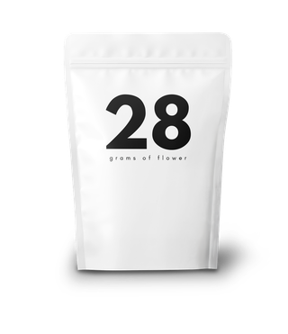 Muel Fuel 28