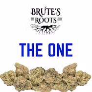 The One BRUTE'S ROOTS The One BRUTE'S ROOTS
