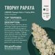 Trophy Papaya Botanist Trophy Papaya Botanist