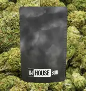 Space Garlic InHouse