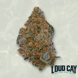 Pave Loud Cay