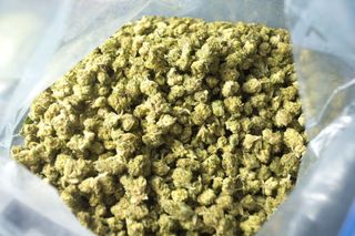 Mickey & Mallory Sativa Hybrid Coastal Remedies
