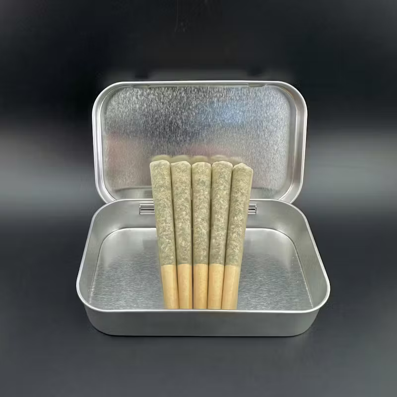 Northern Lights