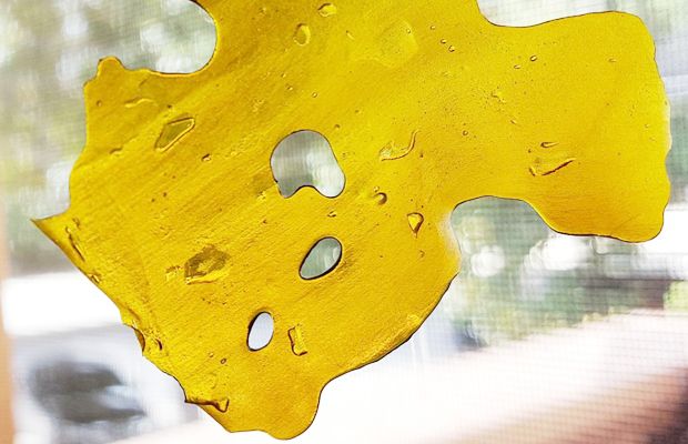 Skywalker OG Coastal Remedies