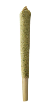 5g Enrobed Mystery Mix Coastal Remedies