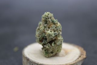 Cannabis Promo, Cannabis Sales, Cannabis Discounts, Cannabis on Sale, Max Out - 2.5oz 20% Off 1