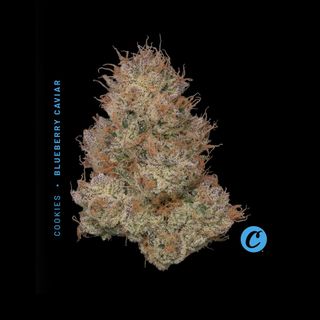 Blueberry Caviar Cookies Blueberry Caviar Cookies